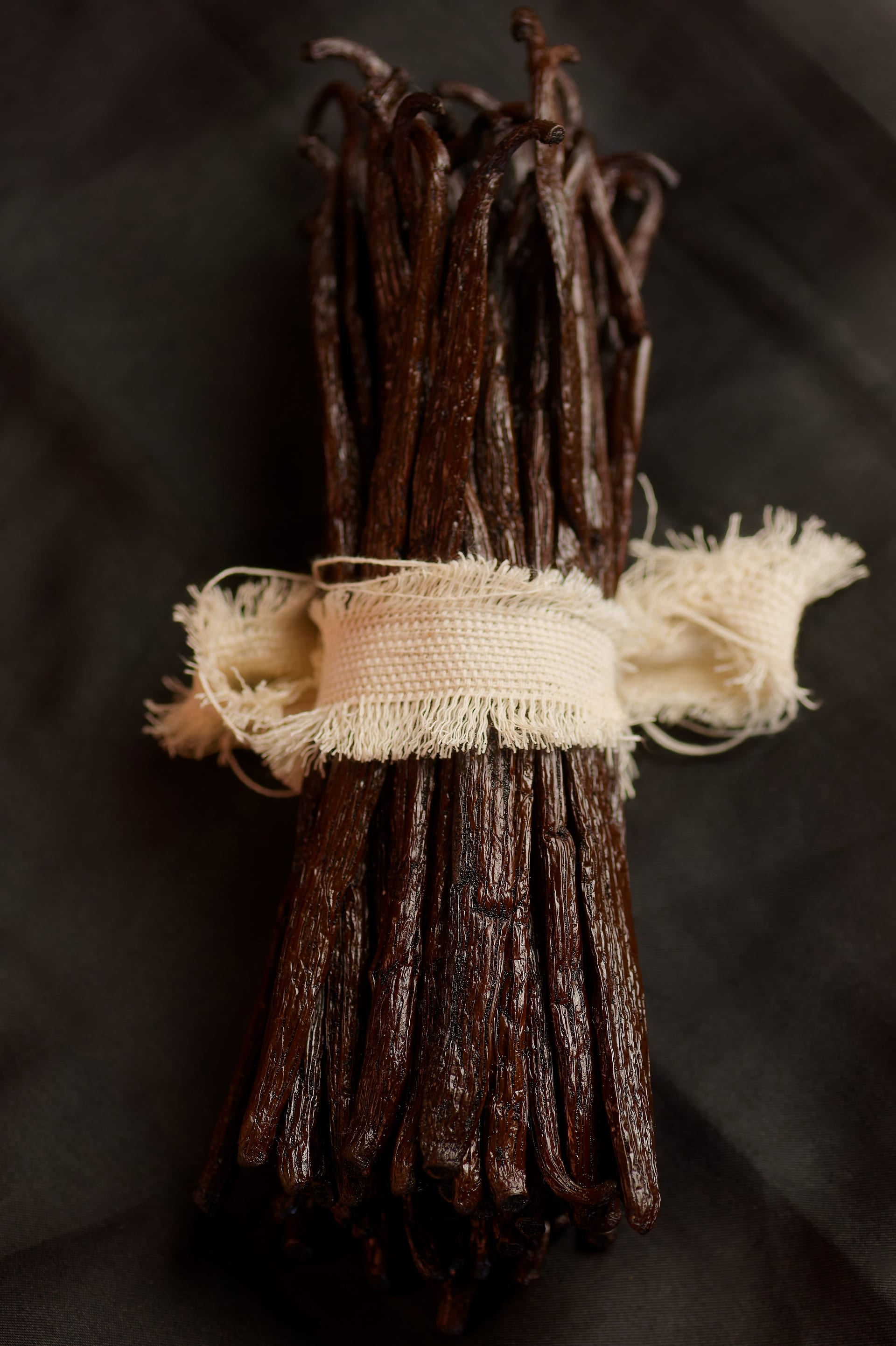 Botte de gousses de vanille Bourbon de Madagascar liée d'un ruban de toile écrue